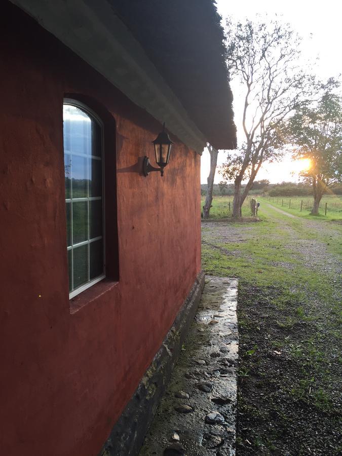 Bramming Alsbrogaard B&B 외부 사진