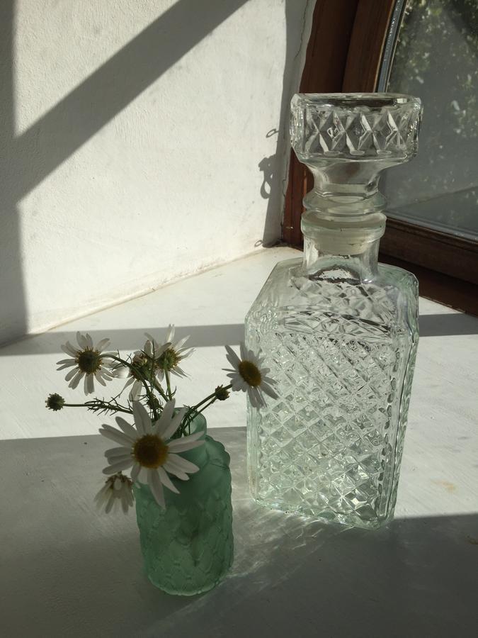 Bramming Alsbrogaard B&B 외부 사진